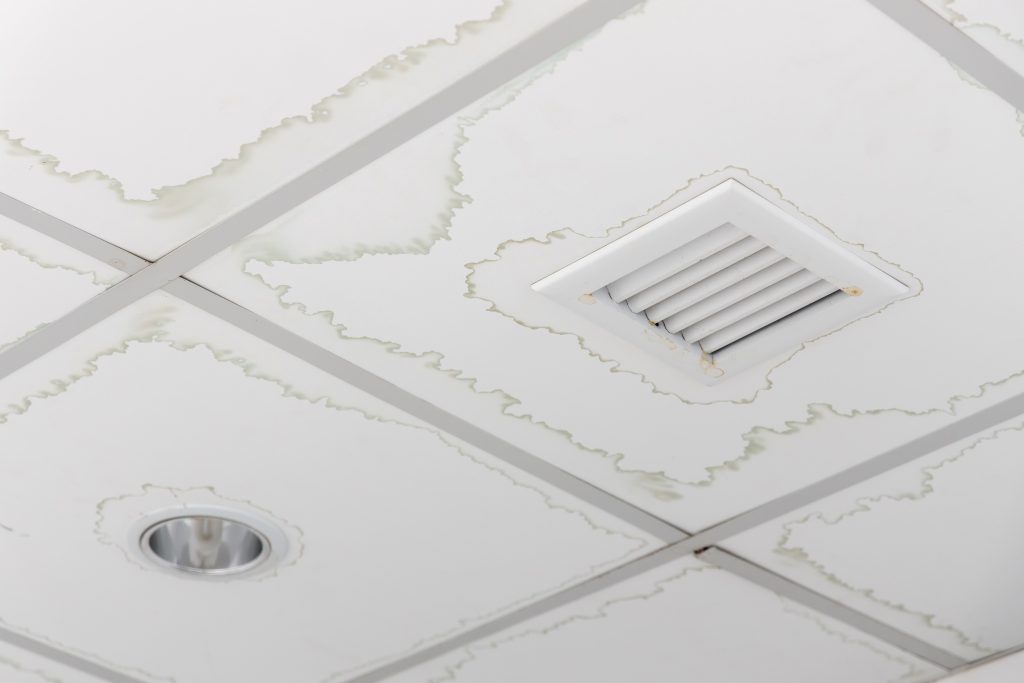 Ceiling,panels,with,water,stain,in,house,from,water,pipes